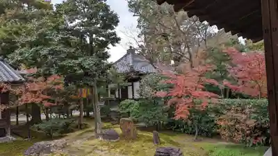 建仁寺（建仁禅寺）(京都府)