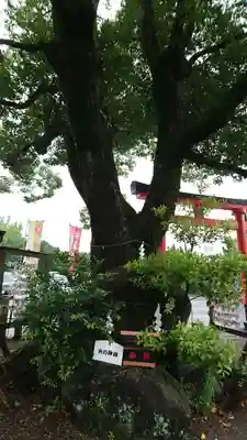 代継宮の末社・摂社