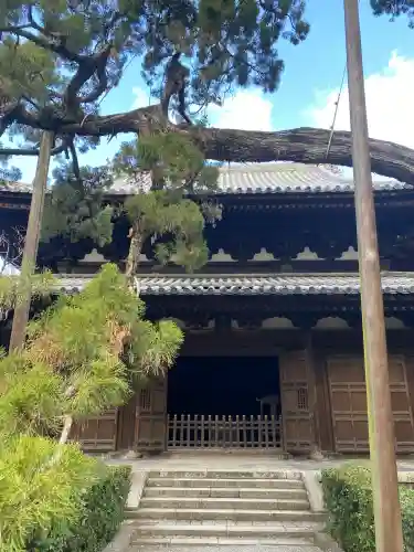 大徳寺の{uncategorized: "未分類", other: "その他", undefined: "問題あり", building: "その他建物", grave: "お墓", sacred_gate: "鳥居", guardian: "狛犬", statue: "像", buddha: "仏像", history: "歴史", nature: "自然", garden: "庭園", animal: "動物", pagoda: "塔", temizu: "手水舎", mountain_gate: "山門・神門", sanctuary: "本殿・本堂", subordinate: "末社・摂社", art: "芸術", scenery: "景色", jizo: "地蔵", ema: "絵馬", goshuin: "御朱印", omikuji: "おみくじ", items: "授与品その他", amulet: "お守り", goshuincho: "御朱印帳", eats: "食事", festival: "お祭り", votive_dance: "神楽", shichigosan: "七五三参", wedding: "結婚式", experience: "体験その他", initially: "初詣", around: "周辺", anti_infection: "感染症対策"}