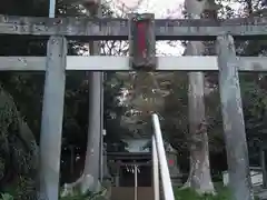 椙山神社の鳥居