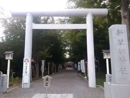 新琴似神社の鳥居