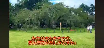 賀茂別雷神社（上賀茂神社）(京都府)