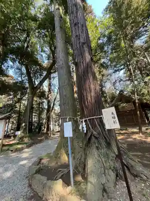 間々田八幡宮(栃木県)