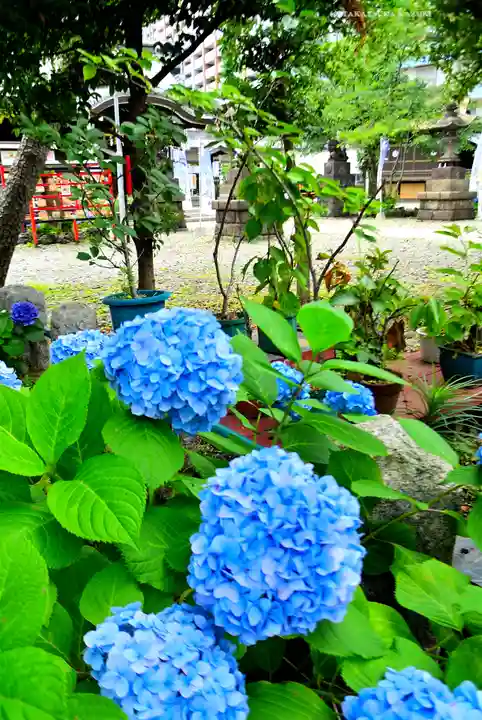 磐井神社(東京都)