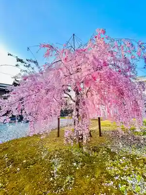 熊野神社(山形県)