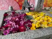 札幌諏訪神社の手水舎