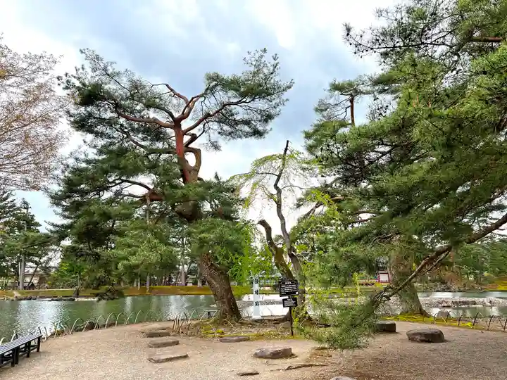 毛越寺(岩手県)