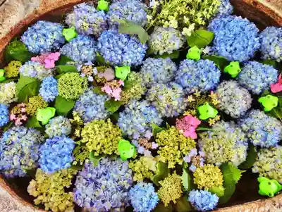 立志神社の手水舎