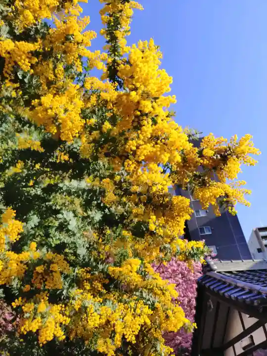 蔵前神社の{uncategorized: "未分類", other: "その他", undefined: "問題あり", building: "その他建物", grave: "お墓", sacred_gate: "鳥居", guardian: "狛犬", statue: "像", buddha: "仏像", history: "歴史", nature: "自然", garden: "庭園", animal: "動物", pagoda: "塔", temizu: "手水舎", mountain_gate: "山門・神門", sanctuary: "本殿・本堂", subordinate: "末社・摂社", art: "芸術", scenery: "景色", jizo: "地蔵", ema: "絵馬", goshuin: "御朱印", omikuji: "おみくじ", items: "授与品その他", amulet: "お守り", goshuincho: "御朱印帳", eats: "食事", festival: "お祭り", votive_dance: "神楽", shichigosan: "七五三参", wedding: "結婚式", experience: "体験その他", initially: "初詣", around: "周辺", anti_infection: "感染症対策"}