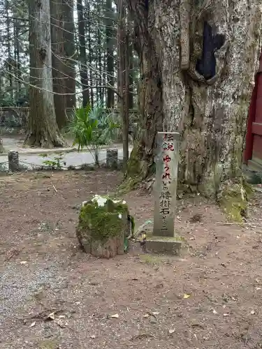 観音寺（寺山観音）の{uncategorized: "未分類", other: "その他", undefined: "問題あり", building: "その他建物", grave: "お墓", sacred_gate: "鳥居", guardian: "狛犬", statue: "像", buddha: "仏像", history: "歴史", nature: "自然", garden: "庭園", animal: "動物", pagoda: "塔", temizu: "手水舎", mountain_gate: "山門・神門", sanctuary: "本殿・本堂", subordinate: "末社・摂社", art: "芸術", scenery: "景色", jizo: "地蔵", ema: "絵馬", goshuin: "御朱印", omikuji: "おみくじ", items: "授与品その他", amulet: "お守り", goshuincho: "御朱印帳", eats: "食事", festival: "お祭り", votive_dance: "神楽", shichigosan: "七五三参", wedding: "結婚式", experience: "体験その他", initially: "初詣", around: "周辺", anti_infection: "感染症対策"}