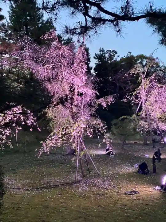平安神宮(京都府)