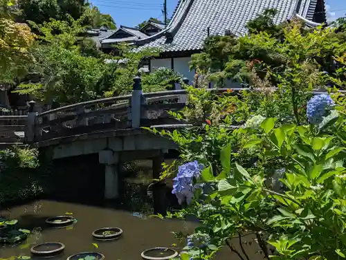 くろ谷 金戒光明寺(京都府)