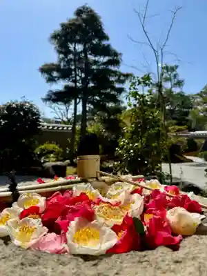 光源院の手水舎