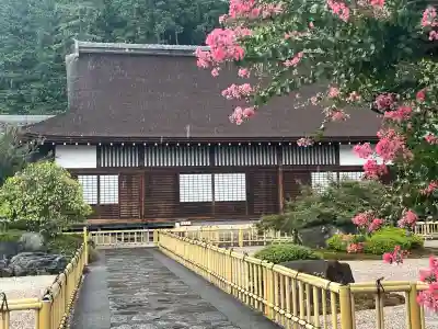 梅龍寺(岐阜県)