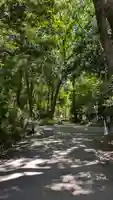 賀茂御祖神社(下鴨神社)(京都府)