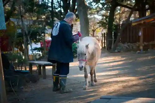 平塚八幡宮(神奈川県)