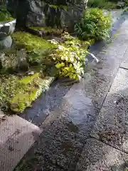 青龍山 吉祥寺の建物その他