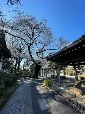 船橋不動尊　寳性寺のその他建物