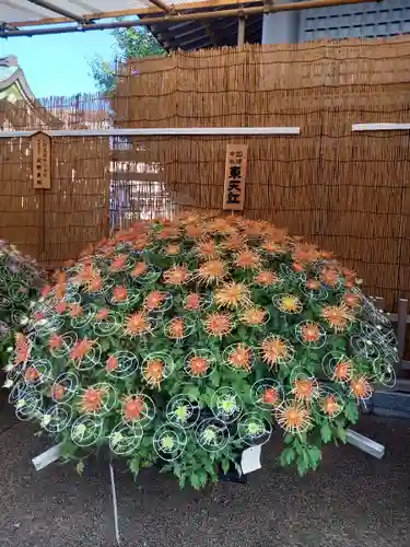 湯島天満宮の庭園