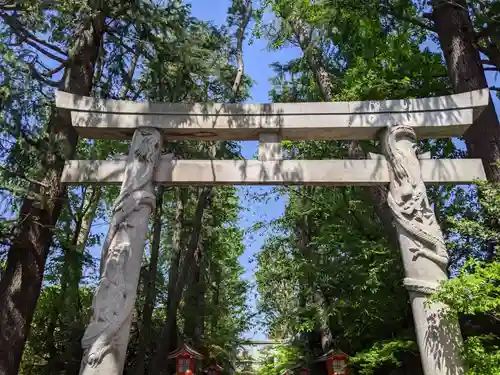 馬橋稲荷神社の鳥居