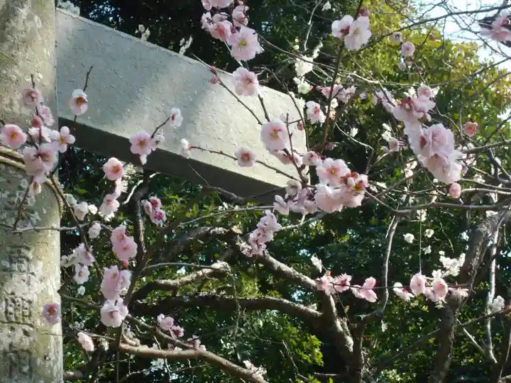 荏柄天神社の自然