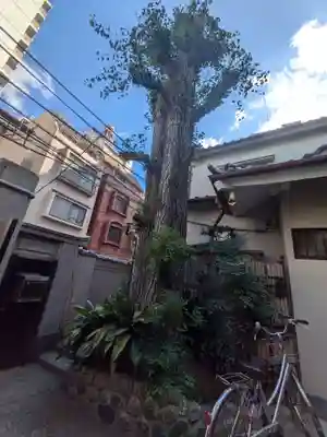 西光院(東京都)