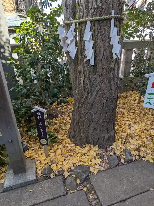 行田八幡神社(埼玉県)