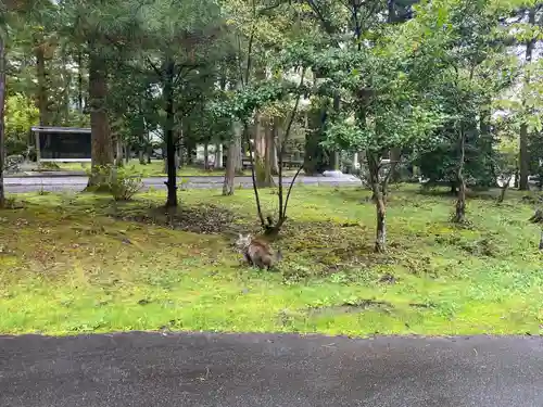 山梨縣護國神社のその他建物