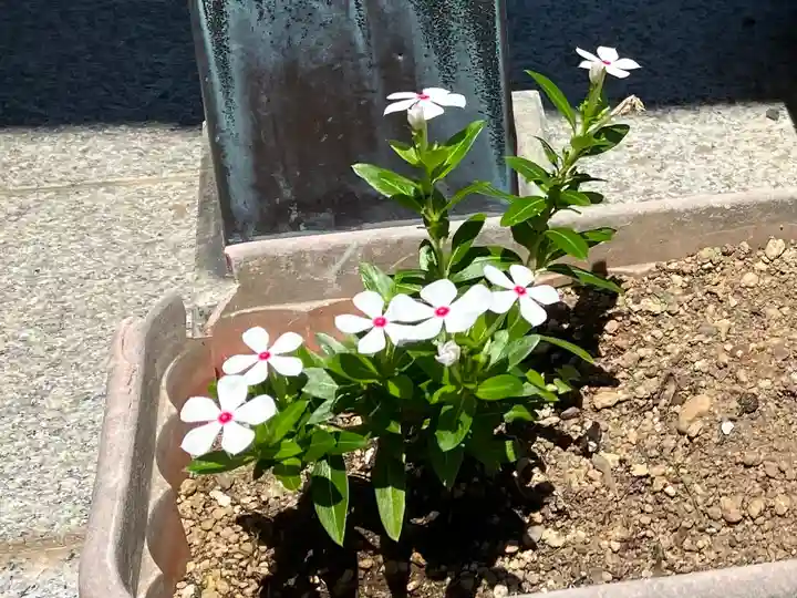 白山媛神社(新潟県)