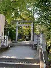 松戸神社の鳥居