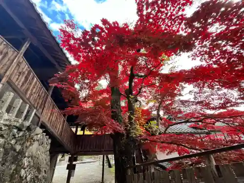 神峯山寺(大阪府)