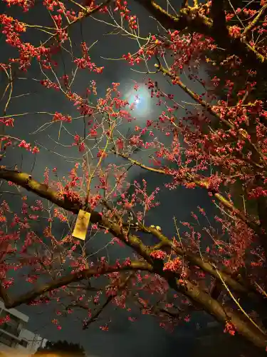櫛田神社の{uncategorized: "未分類", other: "その他", undefined: "問題あり", building: "その他建物", grave: "お墓", sacred_gate: "鳥居", guardian: "狛犬", statue: "像", buddha: "仏像", history: "歴史", nature: "自然", garden: "庭園", animal: "動物", pagoda: "塔", temizu: "手水舎", mountain_gate: "山門・神門", sanctuary: "本殿・本堂", subordinate: "末社・摂社", art: "芸術", scenery: "景色", jizo: "地蔵", ema: "絵馬", goshuin: "御朱印", omikuji: "おみくじ", items: "授与品その他", amulet: "お守り", goshuincho: "御朱印帳", eats: "食事", festival: "お祭り", votive_dance: "神楽", shichigosan: "七五三参", wedding: "結婚式", experience: "体験その他", initially: "初詣", around: "周辺", anti_infection: "感染症対策"}
