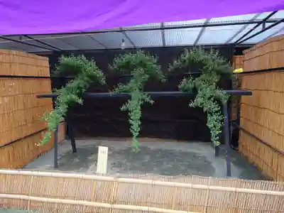 宗像大社(福岡県)