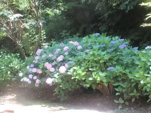 葛原岡神社(神奈川県)
