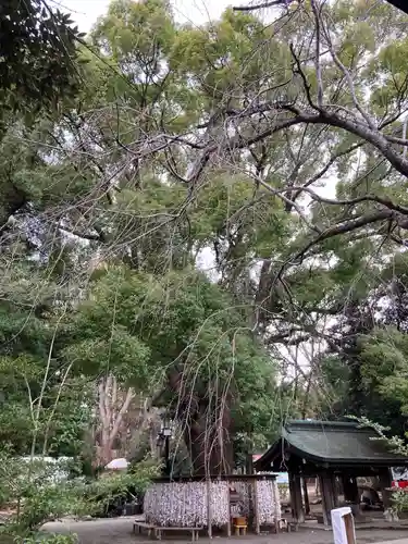 平塚八幡宮(神奈川県)