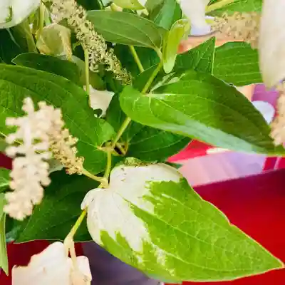 總社 和田八幡宮(福井県)