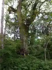 土佐神社(高知県)