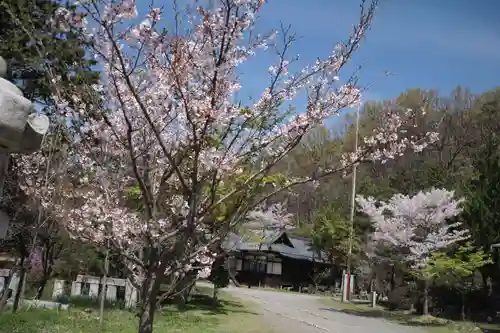 山梨縣護國神社の自然