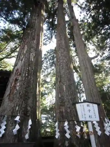 日光二荒山神社の自然