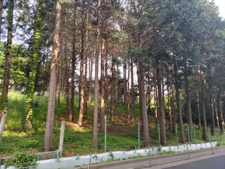 前原御嶽神社の自然