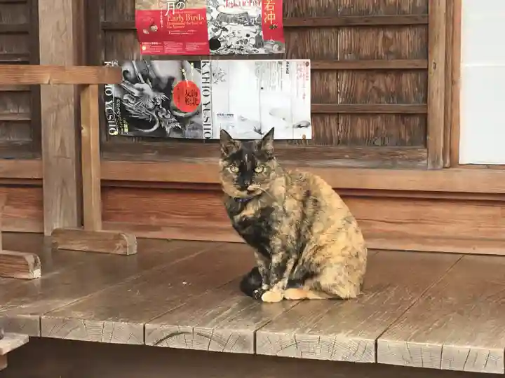 十輪寺(京都府)