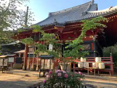 楽法寺(雨引観音)の本殿・本堂
