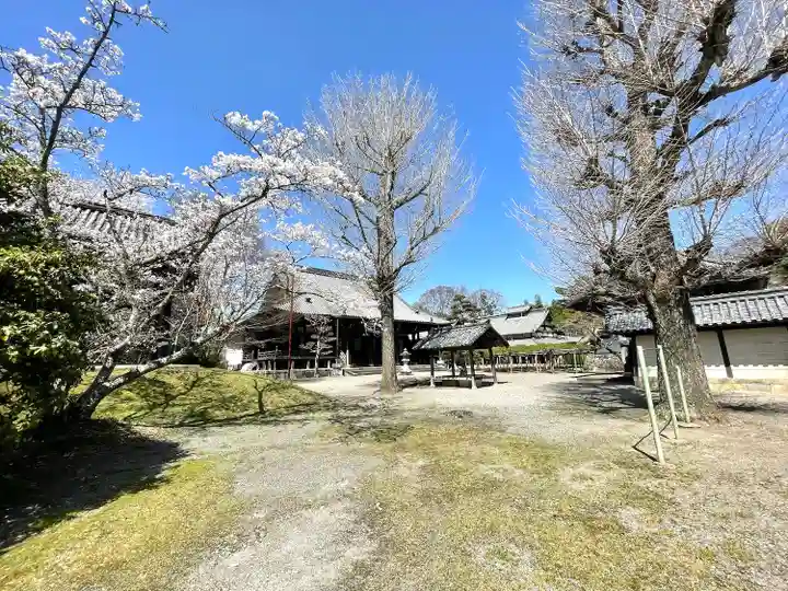 本誓寺(東本誓寺)(滋賀県)