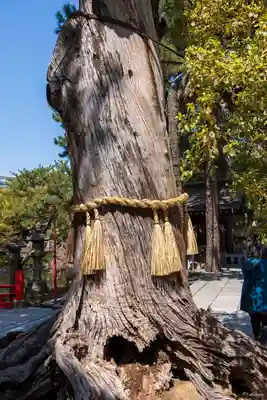 住吉大社(大阪府)