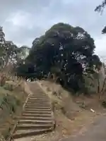 琴平神社のその他建物