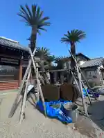 円福寺(三重県)