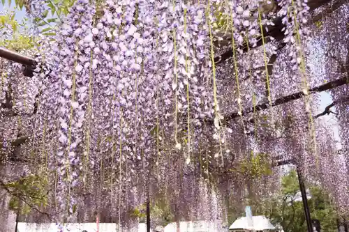 天台宗 五大山 白毫寺(兵庫県)