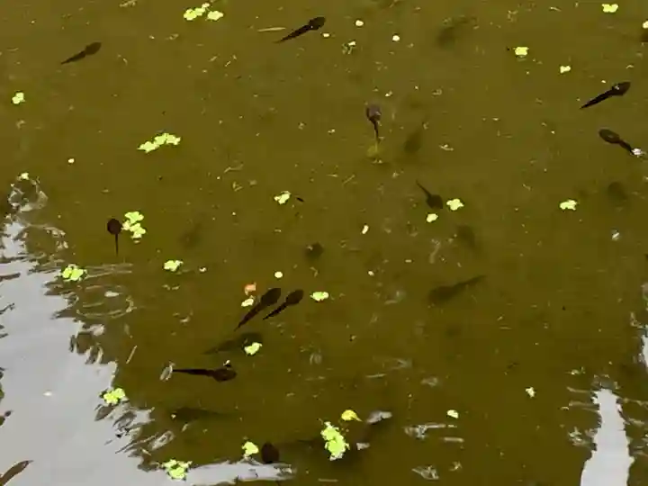 示現寺(福島県)