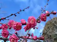 岩津天満宮(愛知県)