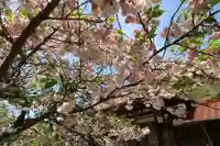 西円寺(山口県)